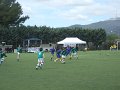 DSCF5568