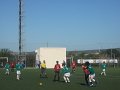 DSCF5801