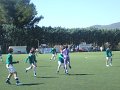 DSCF5936