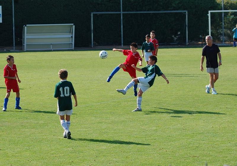 ROGNAC-USP2-26