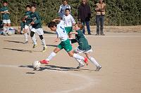 VELAUX-USP2-46